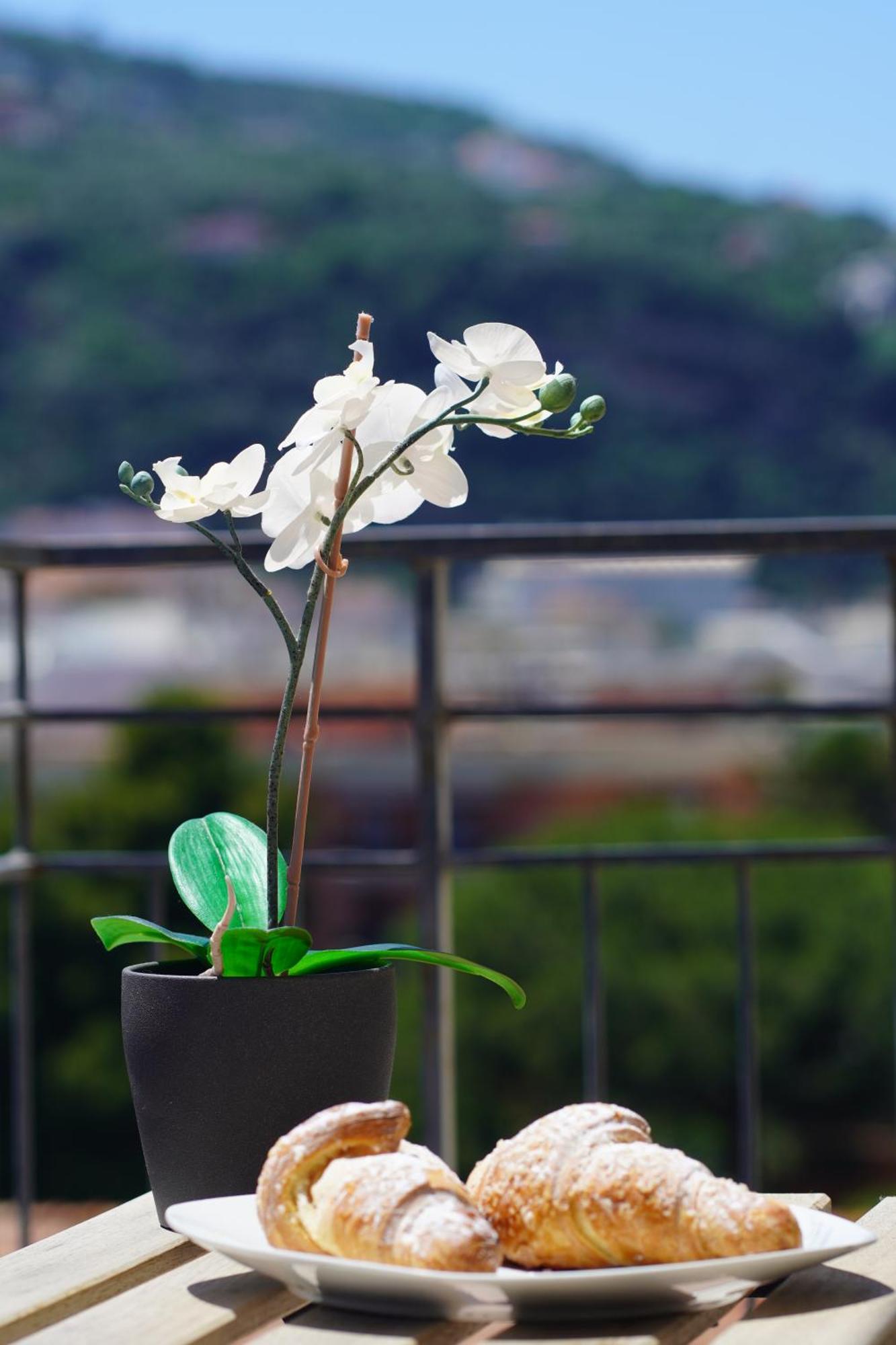 Casa Nelida, Sorrento Centre Apartment Ngoại thất bức ảnh